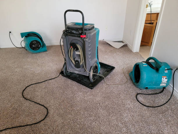  Ruckersville, VA Water damage restoration Pros